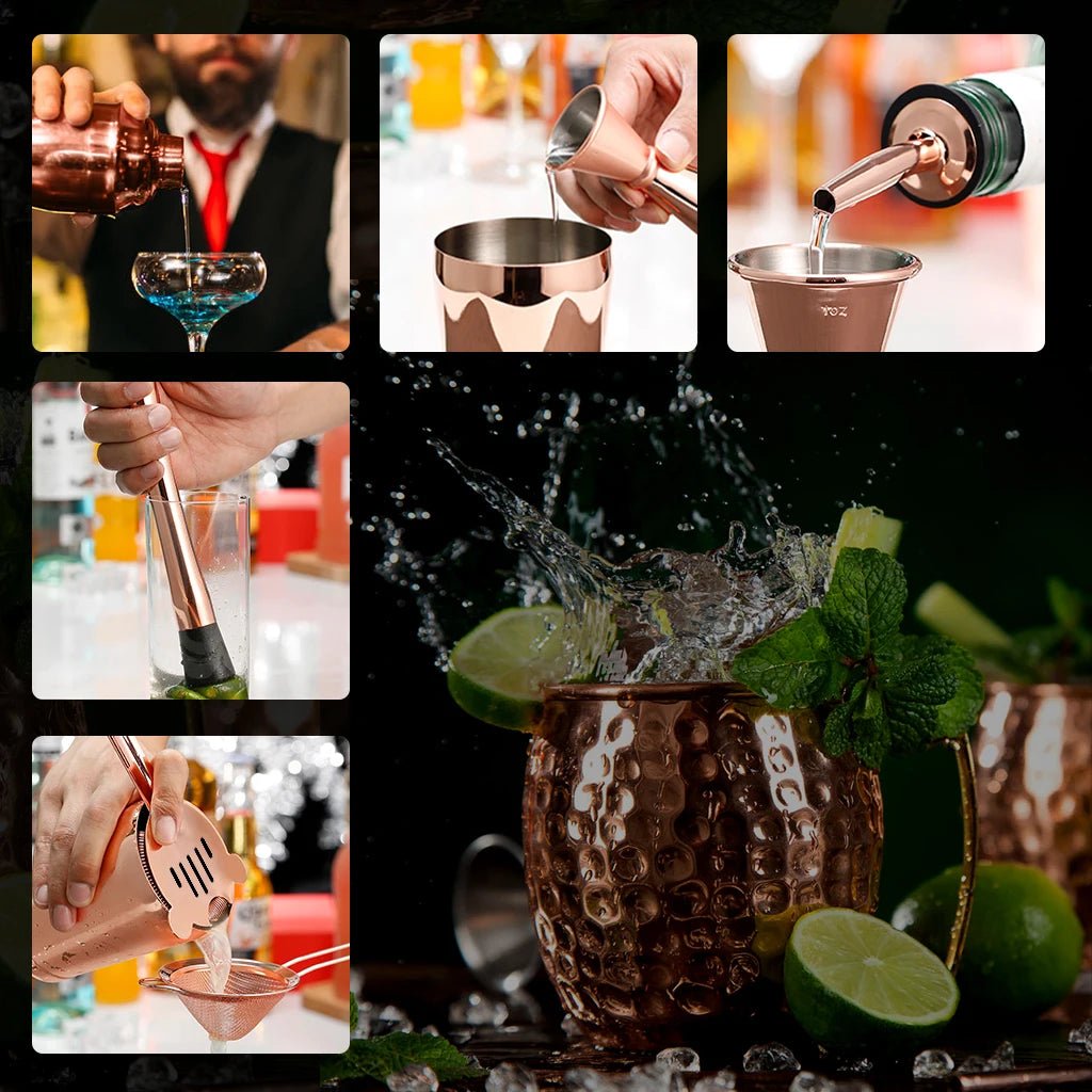 Sixteen-Piece Cocktail Shaker Kit