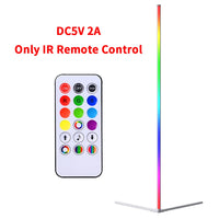 RGB Atmospheric Corner Floor Lamp