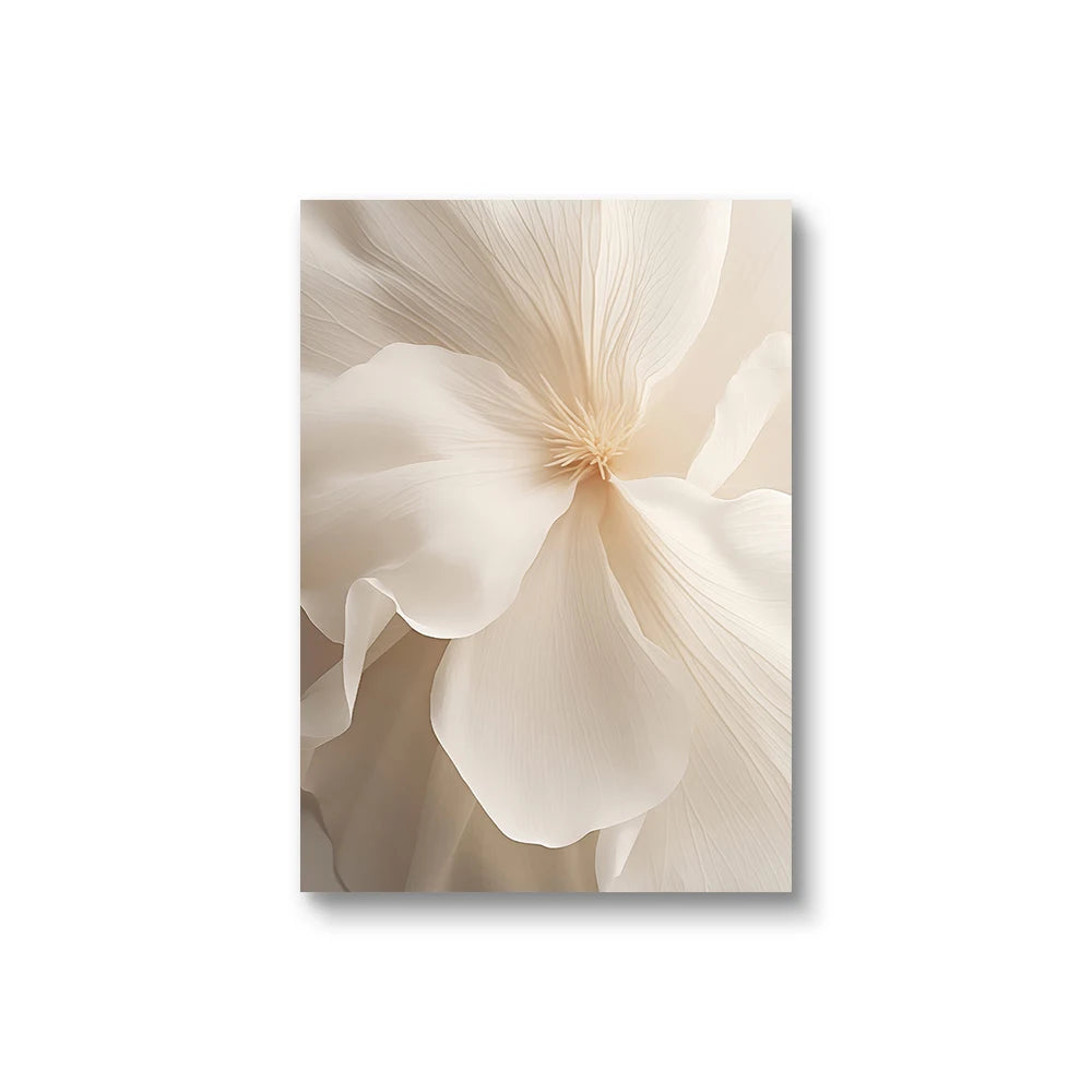 Nordic Peony Canvas Set