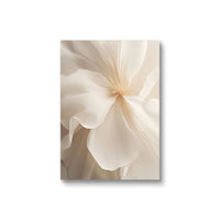 Nordic Peony Canvas Set